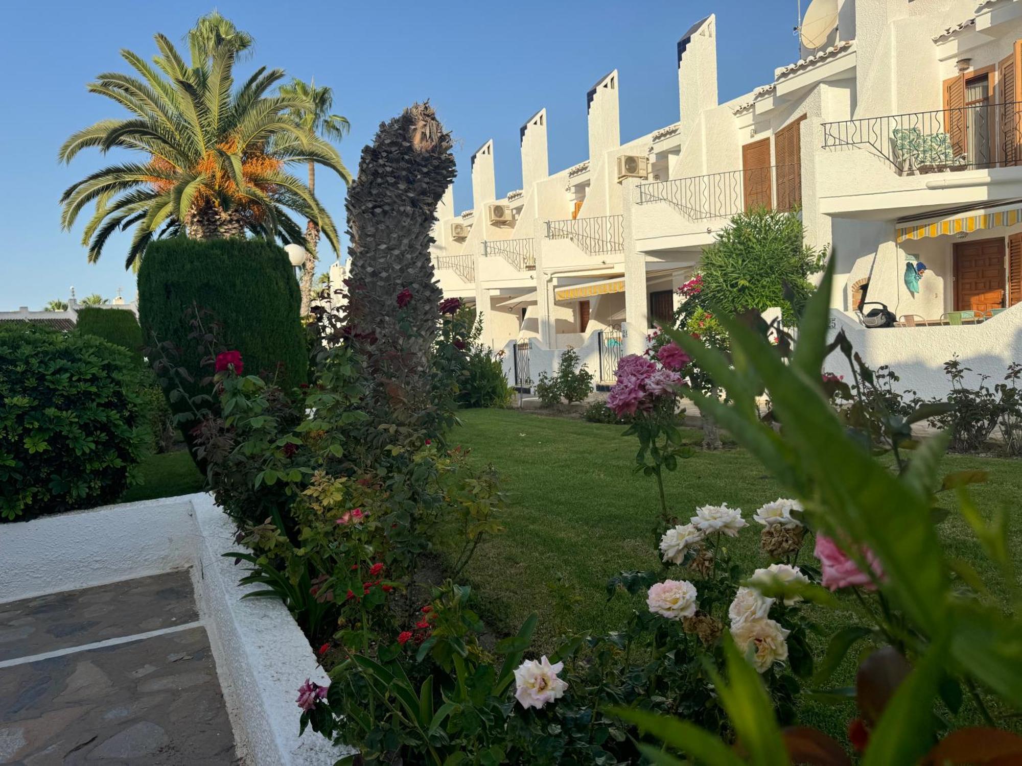 Contemporary House In Cabo Roig Villa Orihuela Exteriör bild