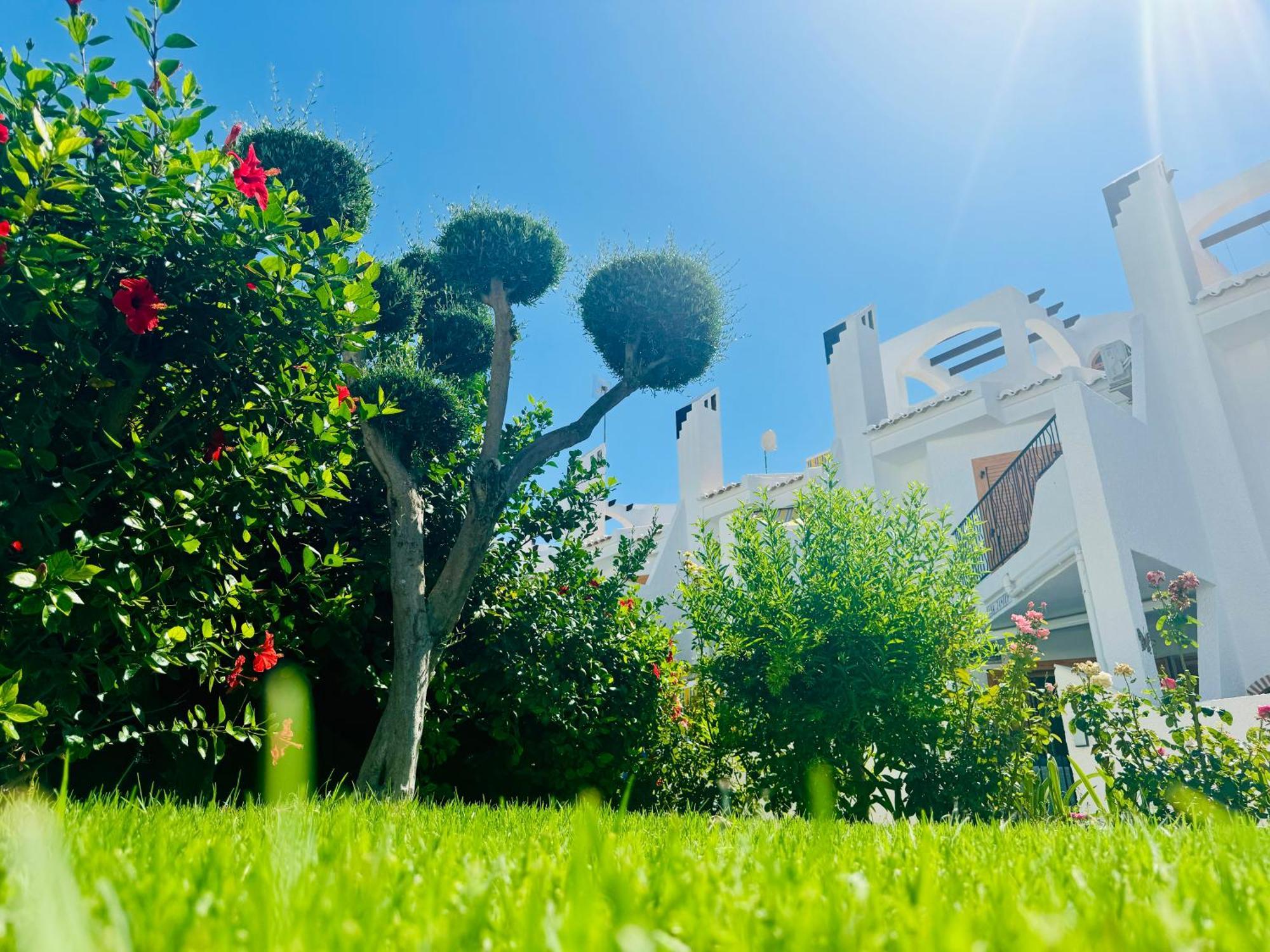 Contemporary House In Cabo Roig Villa Orihuela Exteriör bild